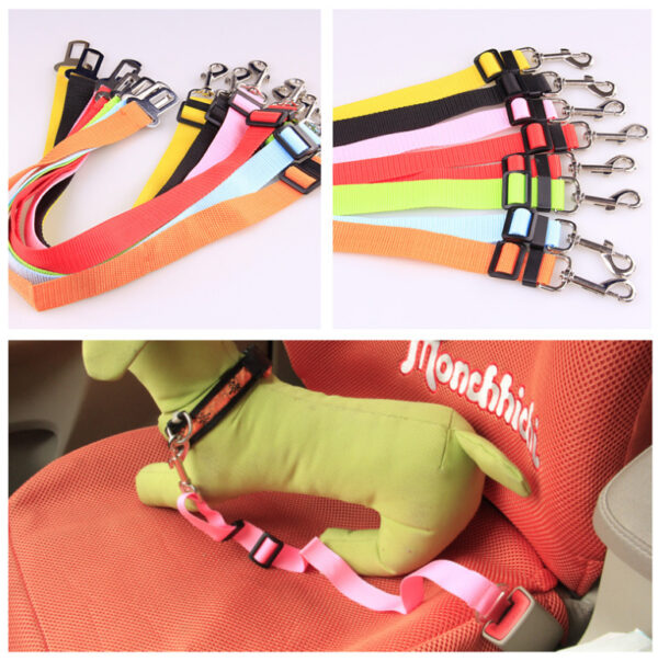 Fixed Strap Polyester Dog Strap Dog Leash Dog Leash - Image 2